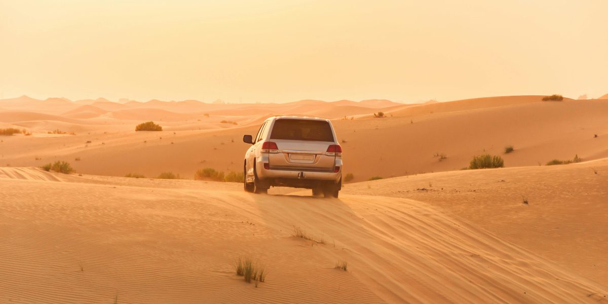 Emirati Arabi Uniti: Accordi tra gli Azionisti